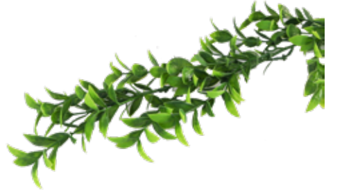 Acessório Eucalipto Folhas Pendentes (85 cm)